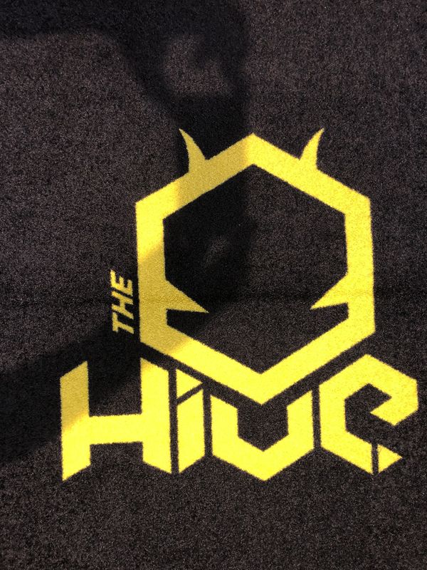 Fußmatten mit Logos - IMG-8447.jpg